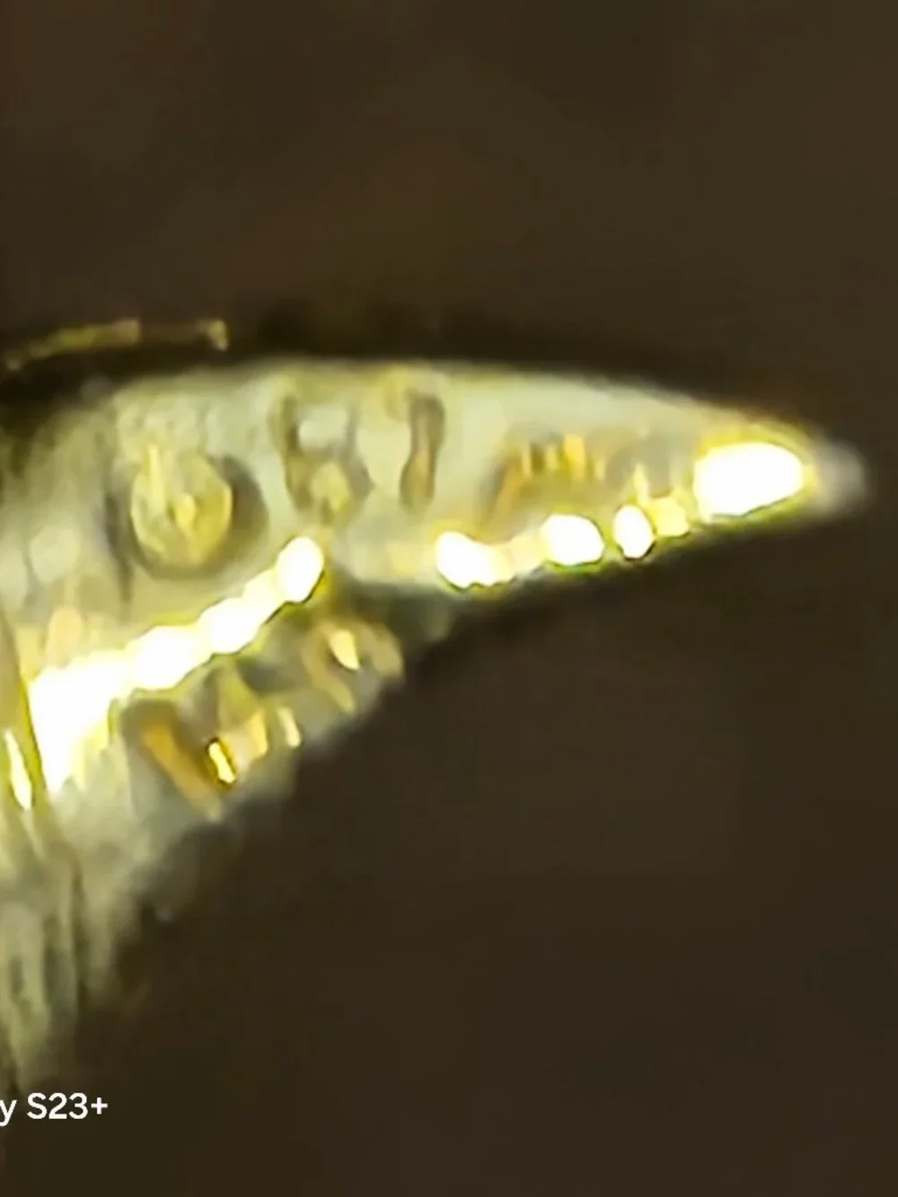 RARE VINTAGE MICHAEL ANTHONY 14k GOLD EAGLE DIAMOND CUT MILITARY CHARM PENDANT